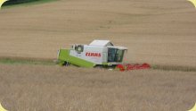 Bild vom Mähdrescher